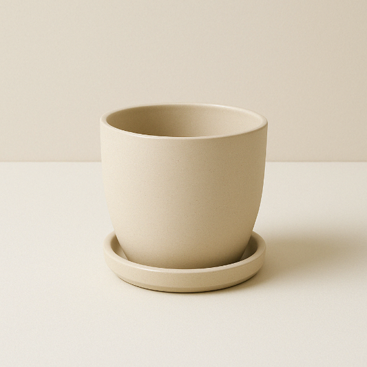 Minimal Sandstone Pot