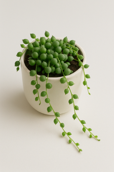 Trailing String of Pearls